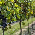 Natiia Relais - Adults Only