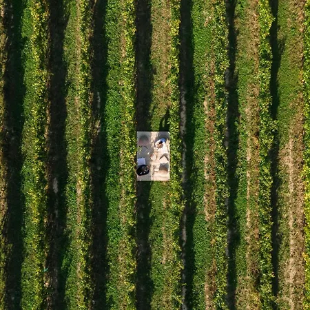 Natiia Relais - Adults Only Hotel Lazise