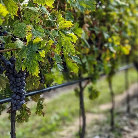 Natiia Relais - Adults Only